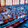 House Passes State Police Constitution Amendment Amid Minority Walkout