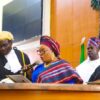 LAGOS ASSEMBLY SWEARS IN FIRST FEMALE SPEAKER, MERANDA