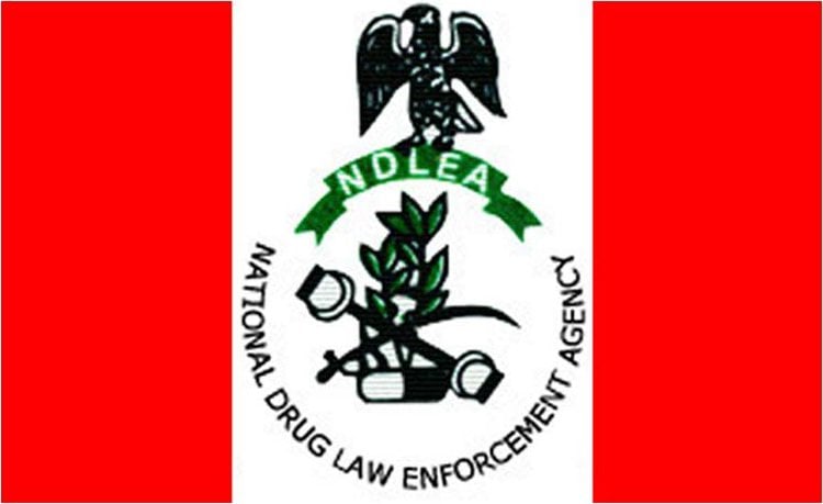 NDLEA Raises Alarm Over Fake Medicinal Cannabis Circulating in Lagos
