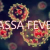 966 Lassa fever cases, 177 deaths recorded – NCDC
