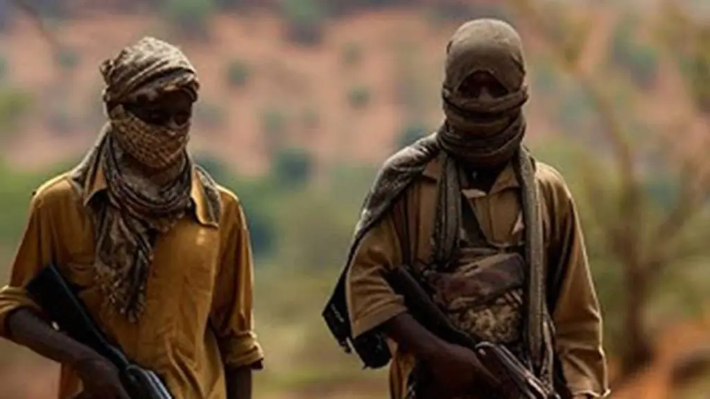 Terrorists Abduct Students, Staff From Catholic School in Niger State