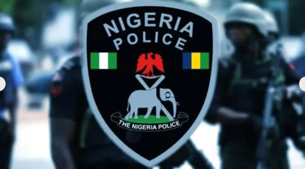 Police Arrest Seven Over Murder, Cultism, Other Crimes in Oyo