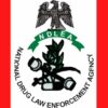 NDLEA intercepts 64 bags of cannabis in Kano.