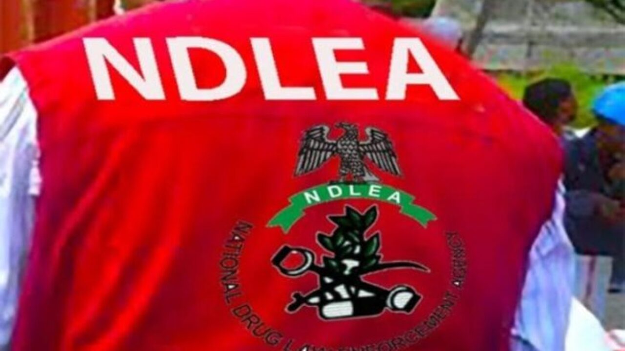 NDLEA seizes N1.8bn drugs over three months in Edo.