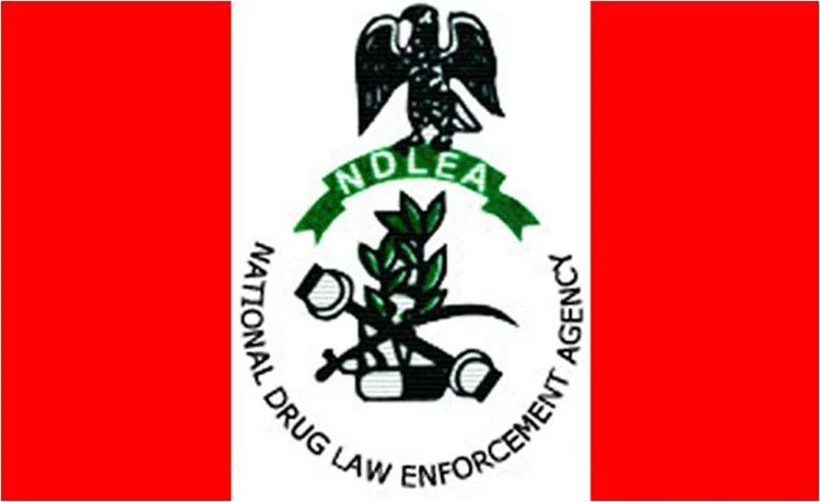 Lagos court fines ship, 10 sailors $6m for cocaine smuggling —NDLEA.