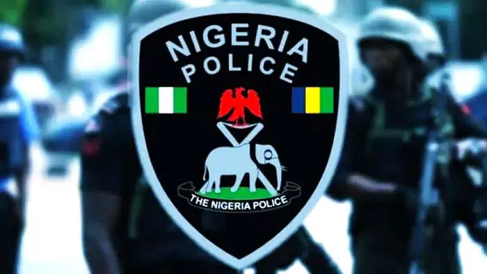 Police nab father, teen son with illegal gun, ammunition in Ogun.