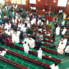 National Assembly Advances State Police Bill in Major Constitutional Reform
