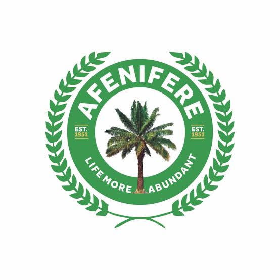 Afenifere Raises Concern Over Insecurity in Southwest